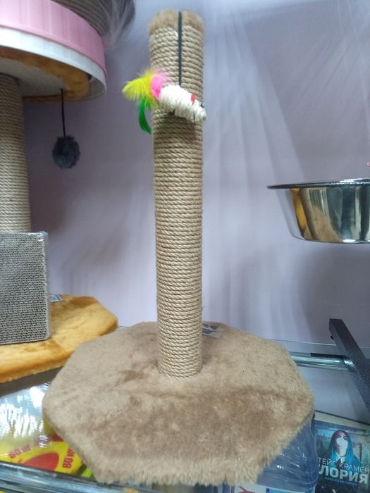 Комплекс для котиков