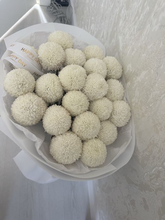 Продам цветы момоко