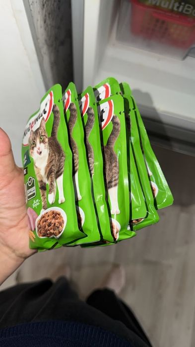 Отдам даром кота