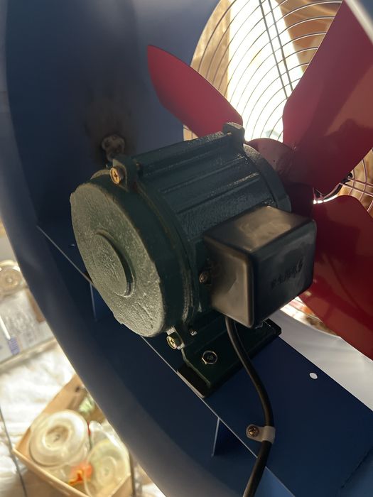 garanti 1 oy motor yanngi