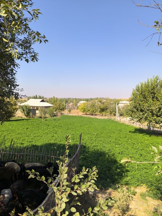 Участка сотилади 10 соток