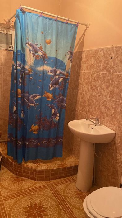 Сарыағаш қаласы Шылғаубаев та