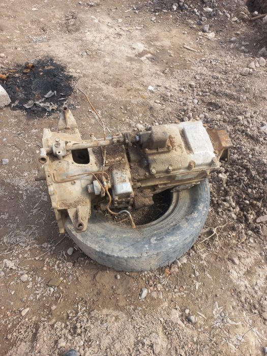 Sotlad karopka zanmos