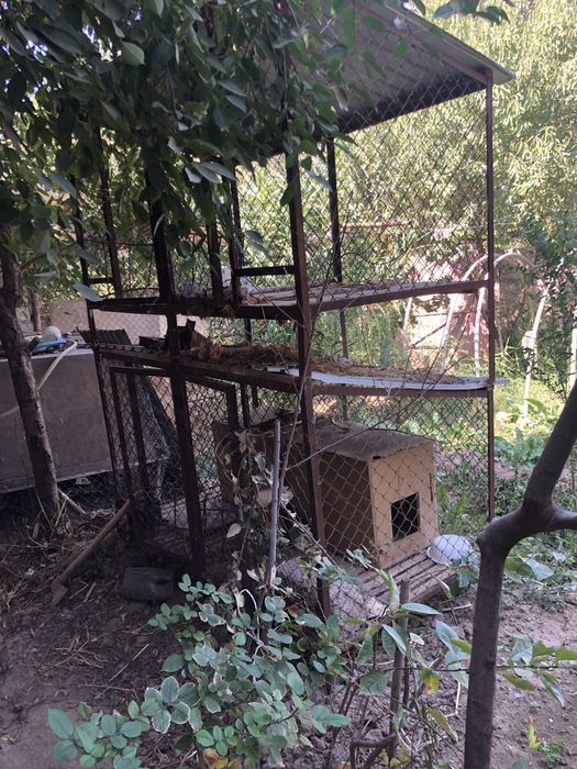 Клетки для кралов и контенер 3 х тоник