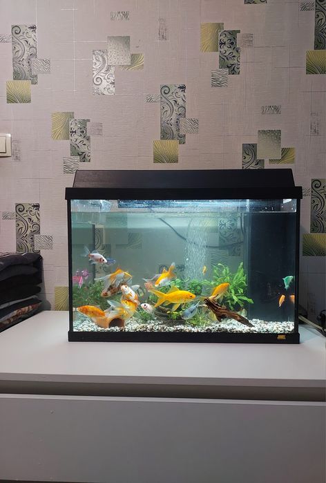 Аквариум 80 л рыбками