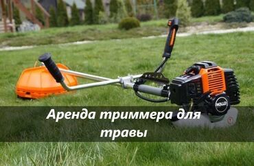 Аренда триммера для травы шоп шабатын апарат