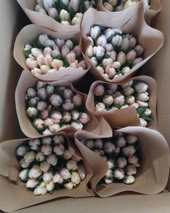 Тюльпаны к 14 февраля и 8 марта оптом