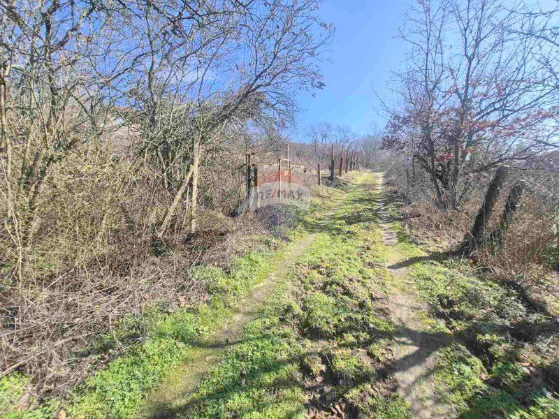 Продава се Парцел в Варна, м-т Боровец - юг - 600 кв.м за 43 €/кв.м - Снимка #7