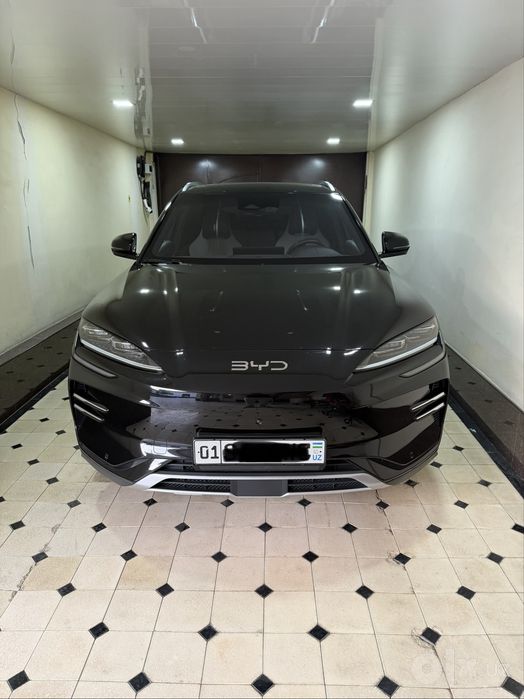 BYD chenpion restaling