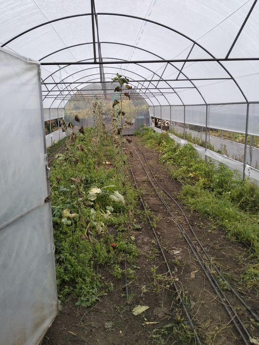 Solare pentru legume