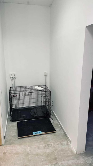 Cabinet medical veterinar cu toate aprobarile si utilitatile, situat in Cluj Napoca. Toata aparatura este noua, renovare facuta recent.