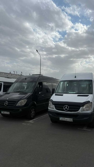 Развозка/дом/офис/дом