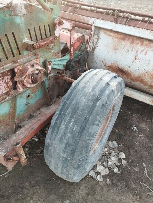 Жағдайы жақсы Россиядан келген