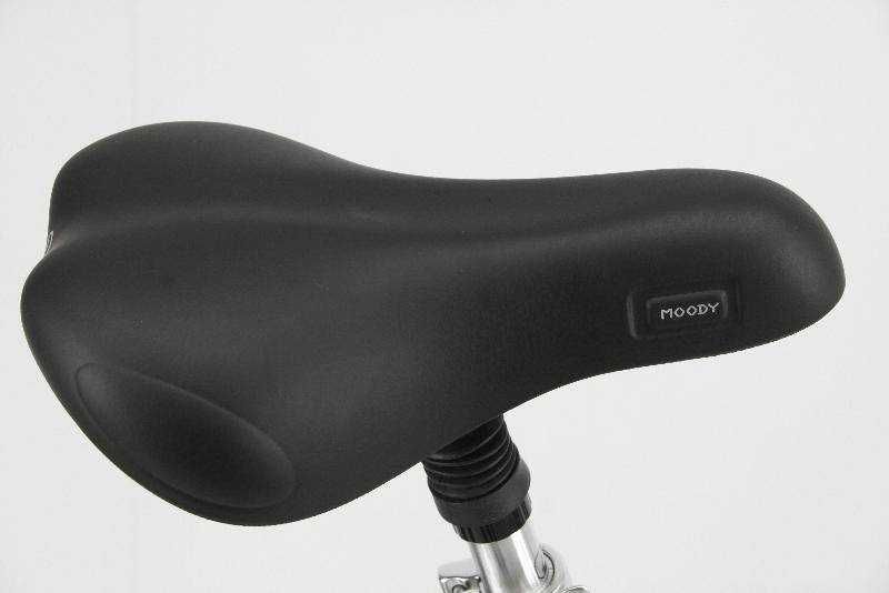 Германский велосипед Pegasus Avanti