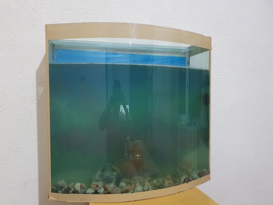 Аквариын  100 литыр  балгымен