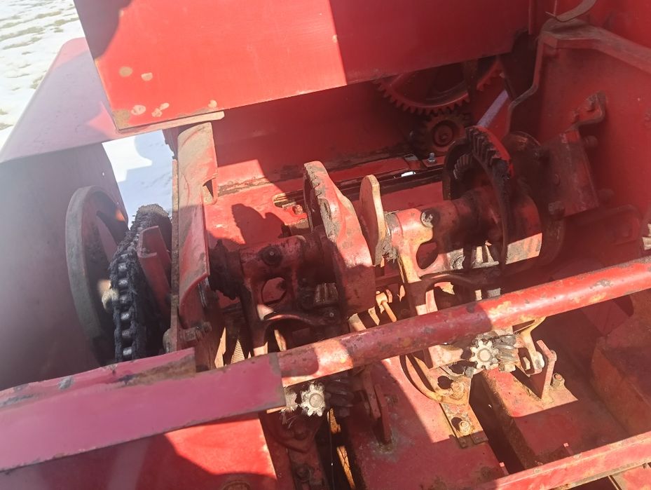 Baloreră internațional425