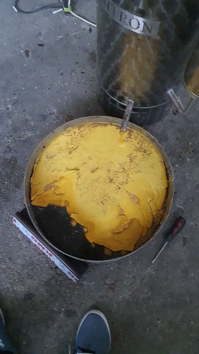 Presa ceara albine