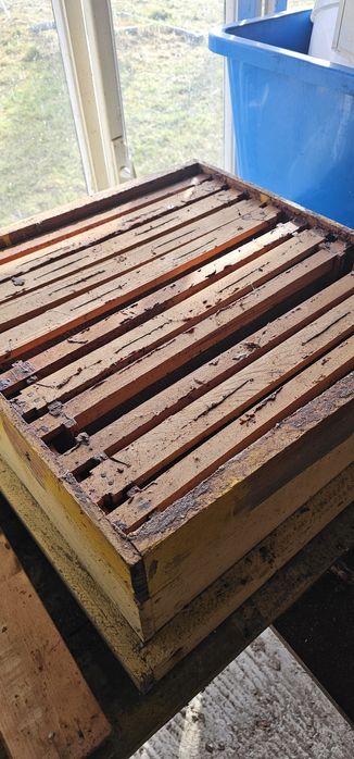 Vând rame clădite albine