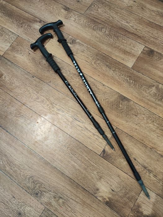 Палки трекинговые