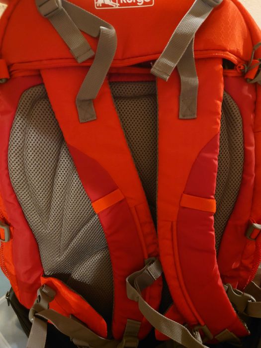 Kurgo G-Train dog backpack, with integrated pet compartment, waterproof base, for pets up to 11 kg, red
