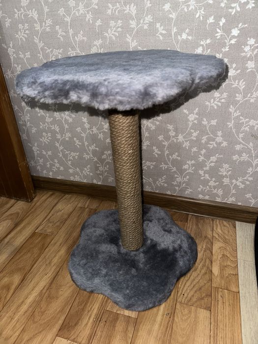Когтеточка для котят