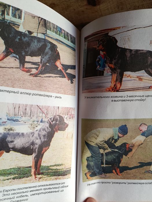 Книги  ротвейлер