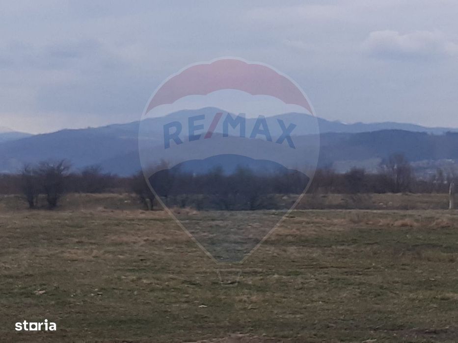 Teren 10,000mp Rasnov / Drumul Panicel