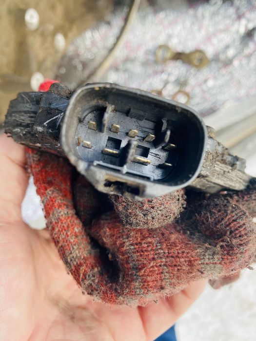 Бублик селектор на королу