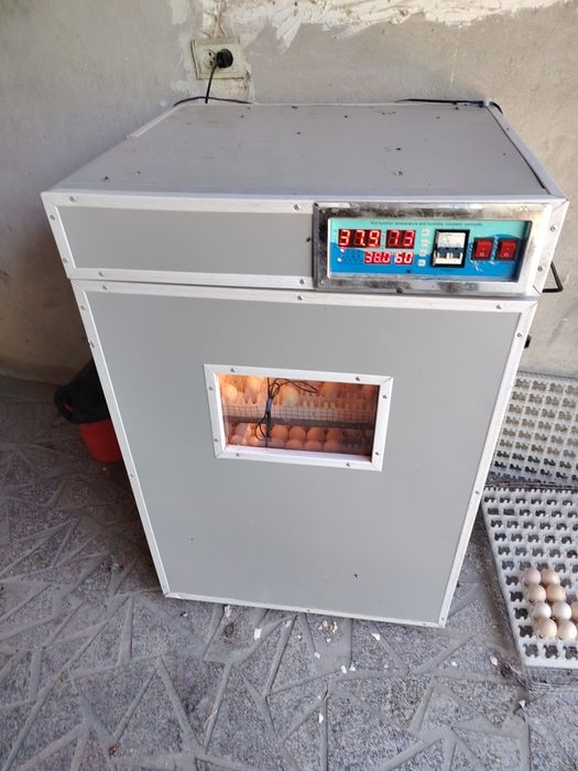 Инкубатор сотаман