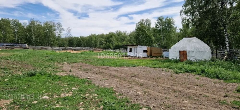 Продам животноводческую базу