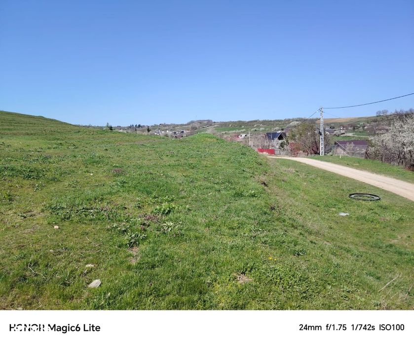 Teren 20 000 mp, deschidere 65 m, Șorogari, Aroneanu, Iasi