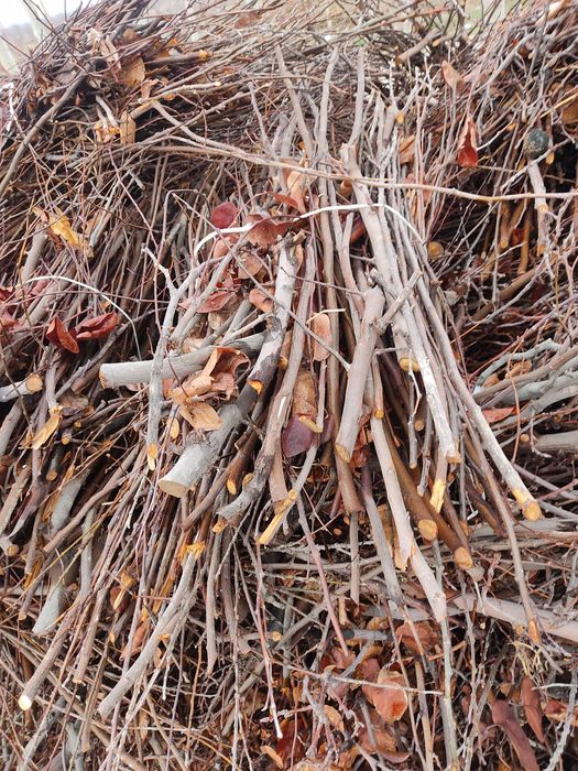 Утинлар сотилади срочно.