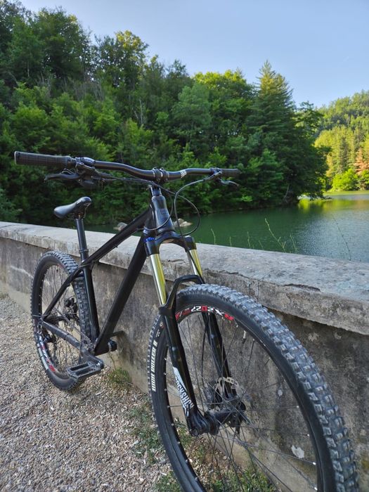 Hardtail BrandX Custom