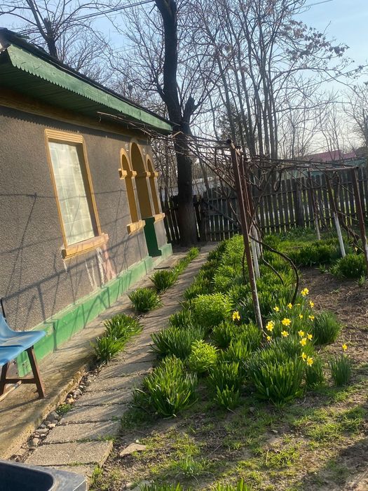 De vanzare casă batraneasca locuibila compusa din 3 camere si dependinte,fântana cu apa potabilă,2 sobe teracota,curent electric,pivnita,curte 2000 mp