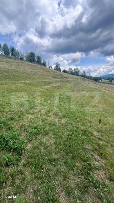 Teren INTRAVILAN, ideal pentru investitie, Șaru Dornei, 36.000 mp