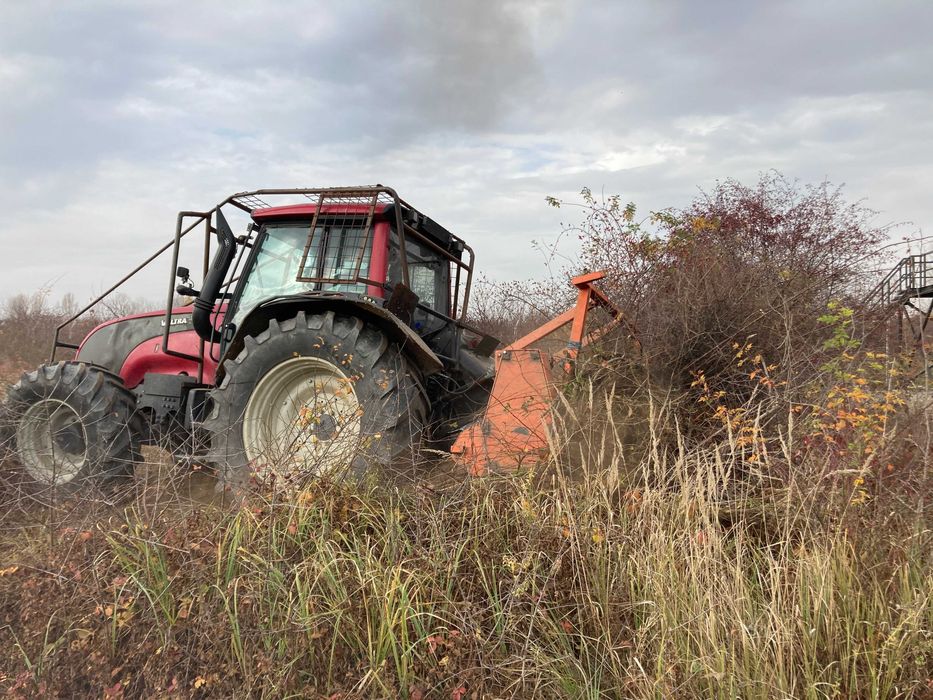 Curatare si defrisare teren industrial, agricol sau rezidential