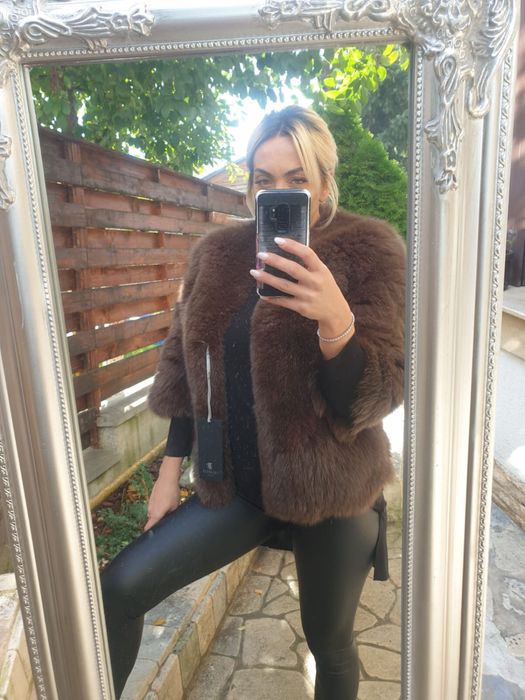 Haina blana vulpe polara