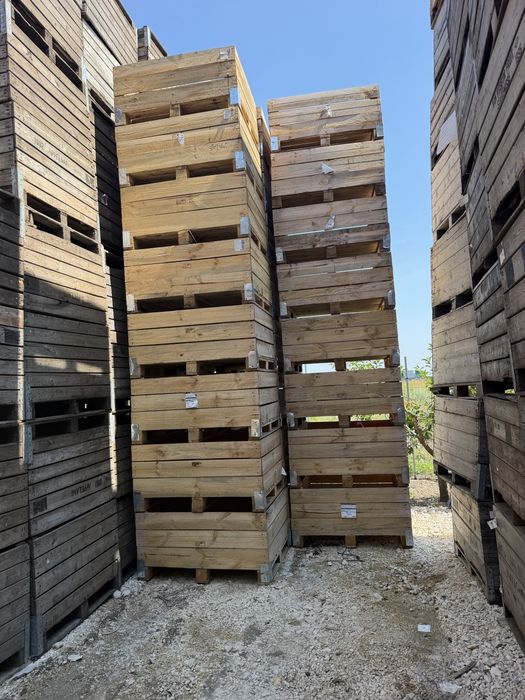 Boxpaleti lemn in stare foarte buna !