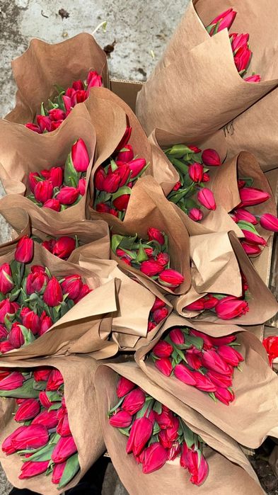 Тюльпаны 60см Алматы