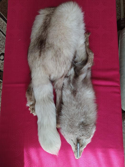 Яка от цяла сребърна лисица