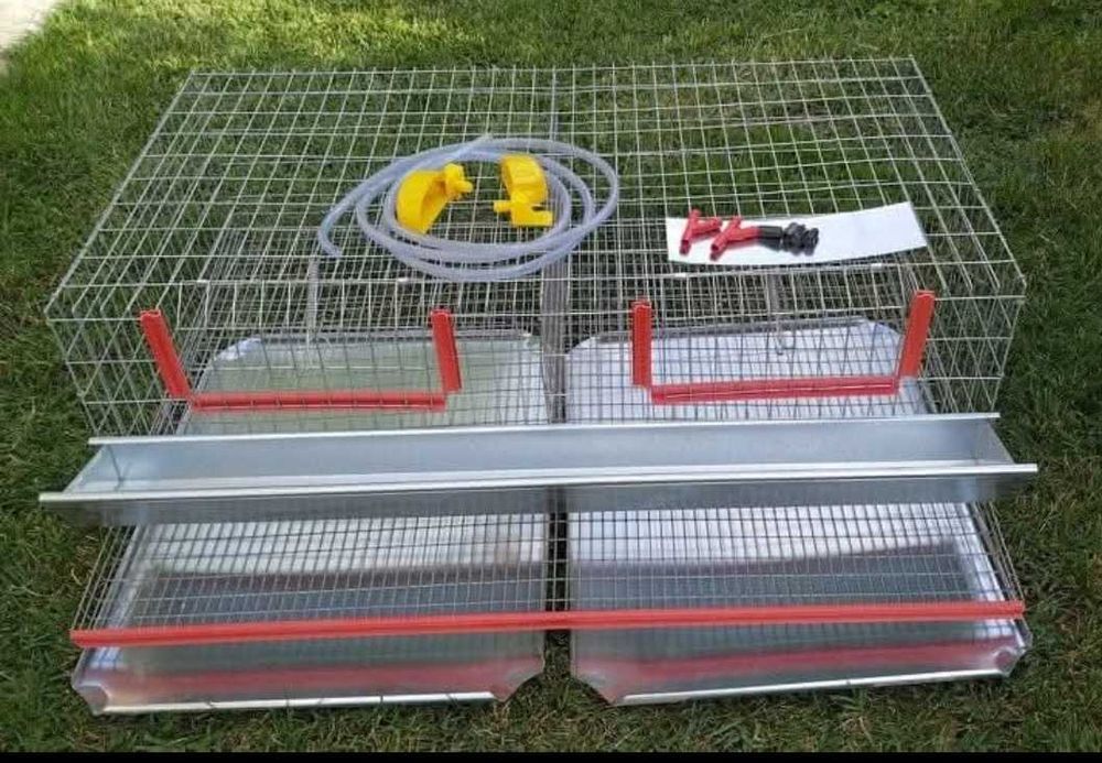 Cușca pentru prepelițe 50 de capete