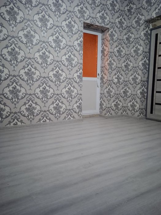 Малярка кламиз сиф