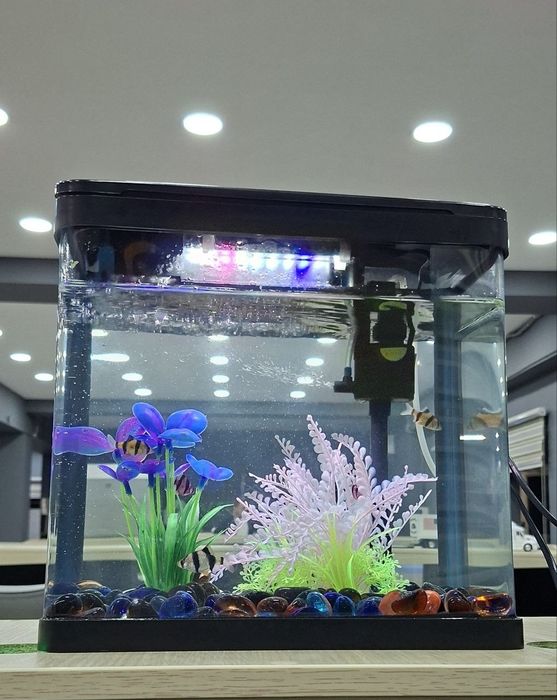 Akvarium sotiladi 15 litr