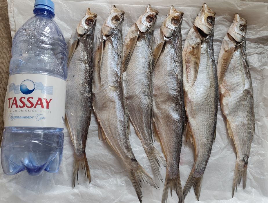 Продам солёную рыбу