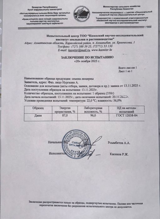 сапалы жоңышқа джея сорты