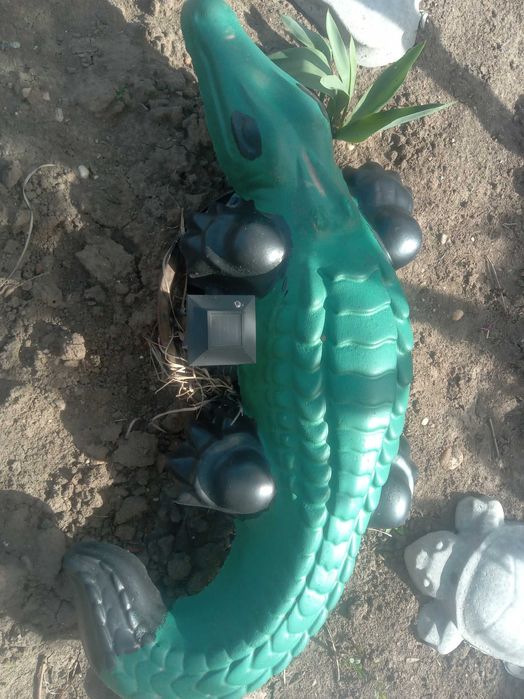Crocodili de vînzare