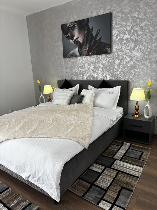 Apartament 1 Camera In Regim Hotelier Langa Iulius Mall