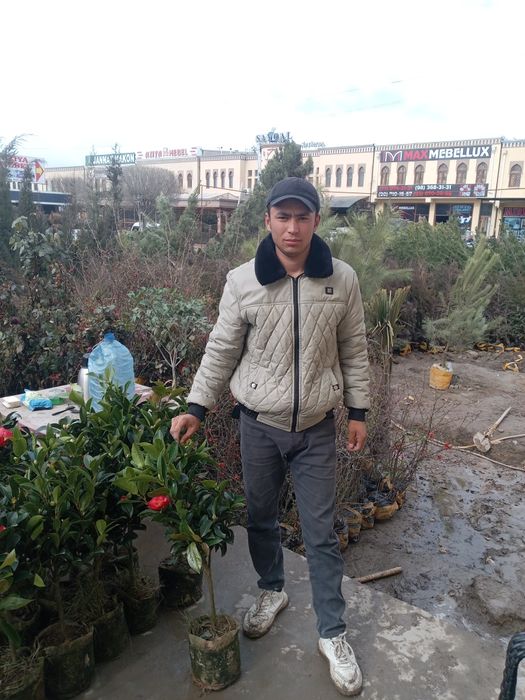 GULAR bor yangi keldi qishig yozig bir xil turadi gazon lamshat xam bi