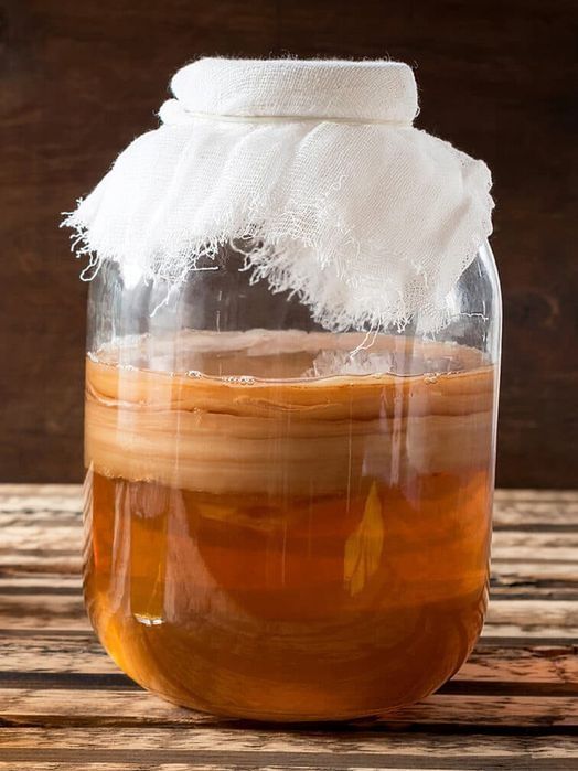 Продам чайный гриб Комбуча ( рассада)