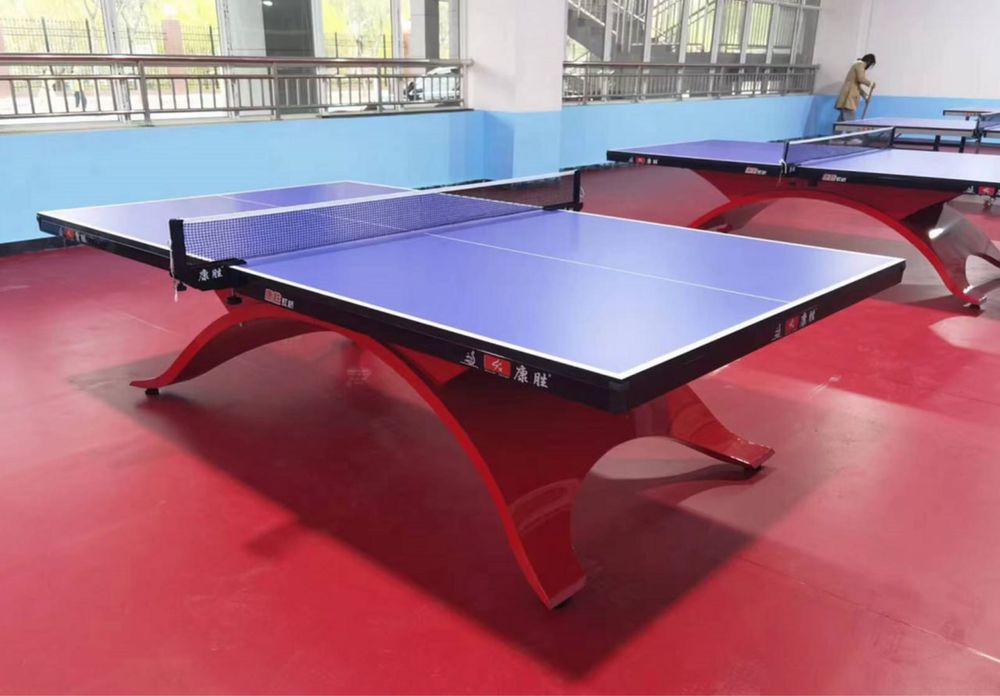 Профессиональный теннисный стол Настольный теннис DHS RAINBOW